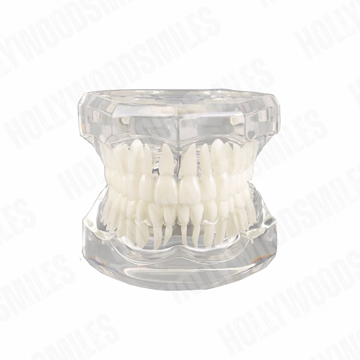 Clear Tooth Model My Store