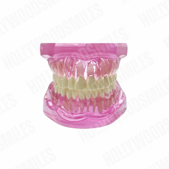 Clear Tooth Model My Store